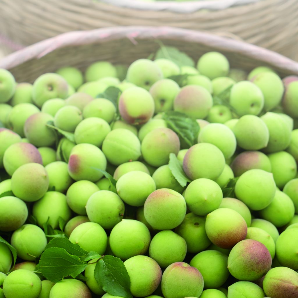 Green plum
